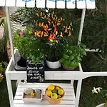 Apartamento Le Zagare